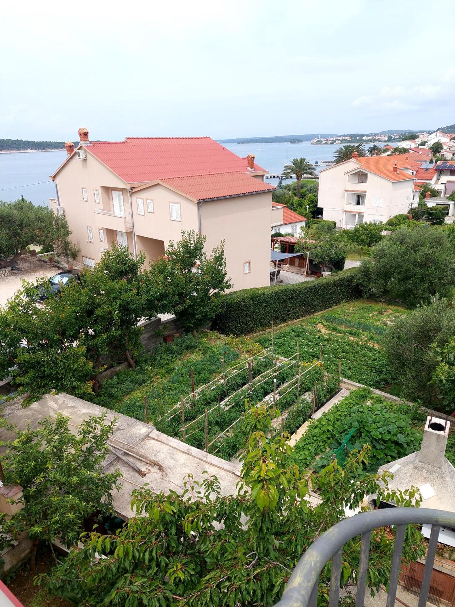 Apartment Olive House Rab Barbat na Rabu Kamer foto